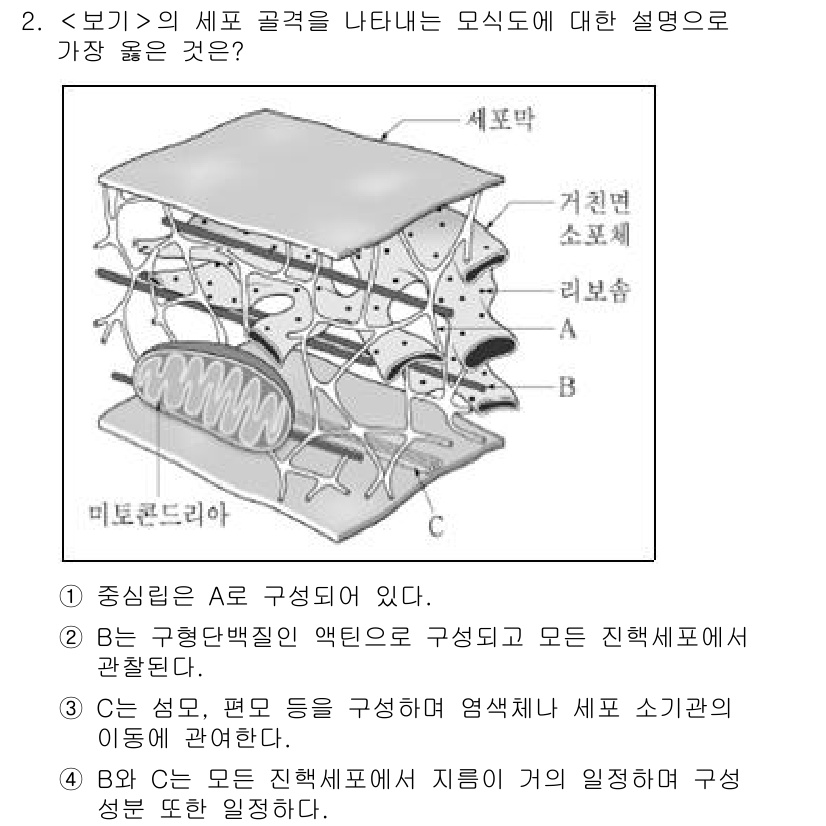 9급_지방직_공무원_서울시_생물 2022년 2번 - 세포 골격은 세포 내 구조물로, 세포의 형태와 이동에 기여하며, 세포 소... 에 관한 핵심 기출문제