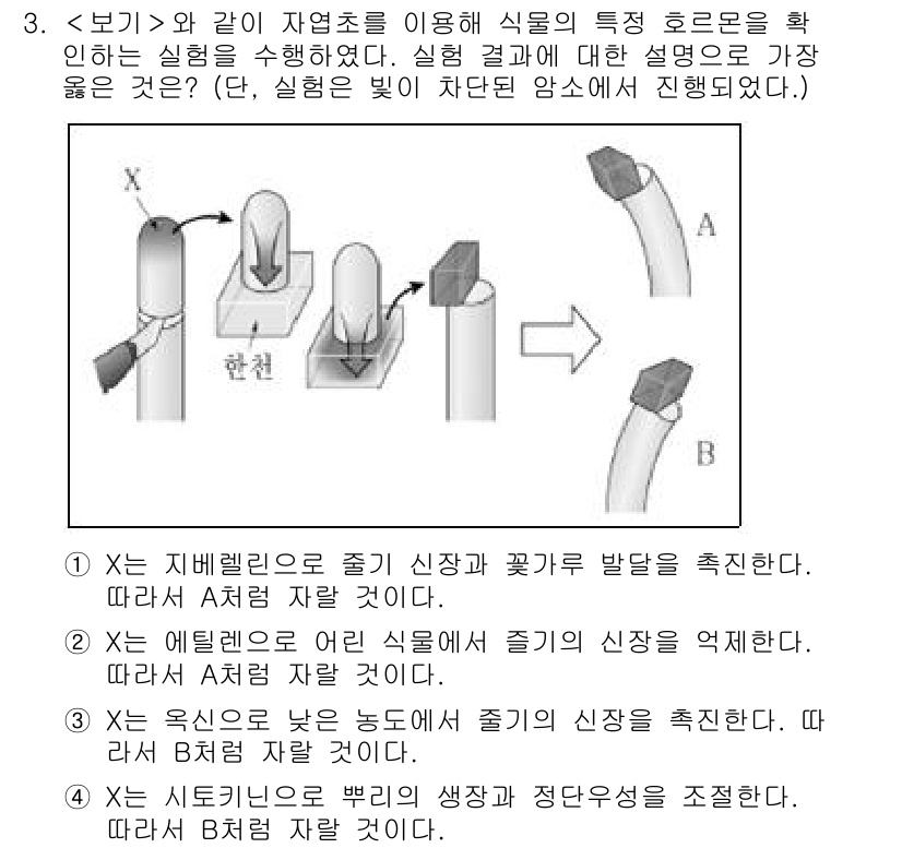 9급_지방직_공무원_서울시_생물 2022년 3번 - 주어진 실험에서 X는 식물의 신장 반응을 조절하는 호르몬인 옥신의 역할을... 에 관한 핵심 기출문제