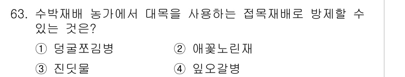 손해평가사 2023년 63번 - 정답은 1번 덩굴쪼김병입니다. 수박 재배 시 덩굴성 식물인 수박은 덩굴쪼... 에 관한 핵심 기출문제