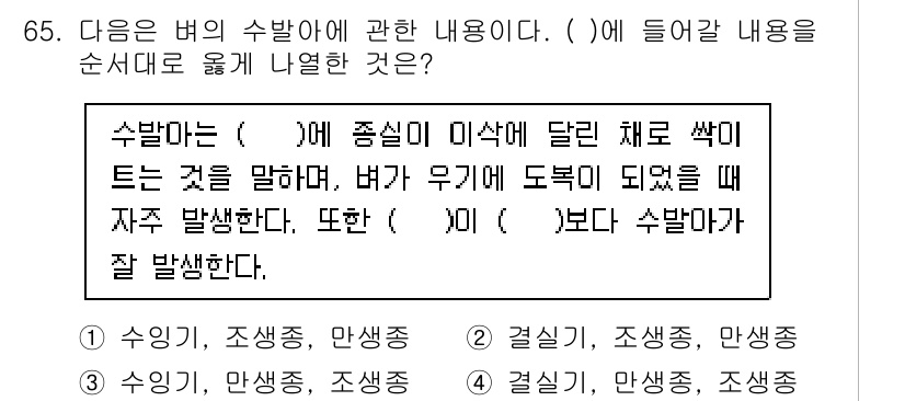 손해평가사 2023년 65번 - 수밸마는 **(우기)** 종류의 이삭에 달린 채로 쓰이는 것을 의미하며,... 에 관한 핵심 기출문제