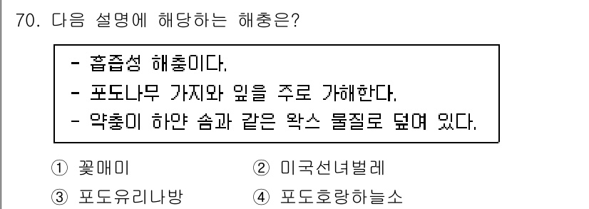 손해평가사 2023년 70번 - 번. 포도나무는 주로 기후와 토양에서의 영향을 받으며, 해류의 변화에 민... 에 관한 핵심 기출문제