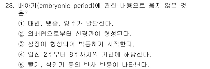 청소년상담사_3급(1교시) 2023년 23번 - 임신 2주부터 8주까지의 기간은 배아기(embryonic period)에... 에 관한 핵심 기출문제