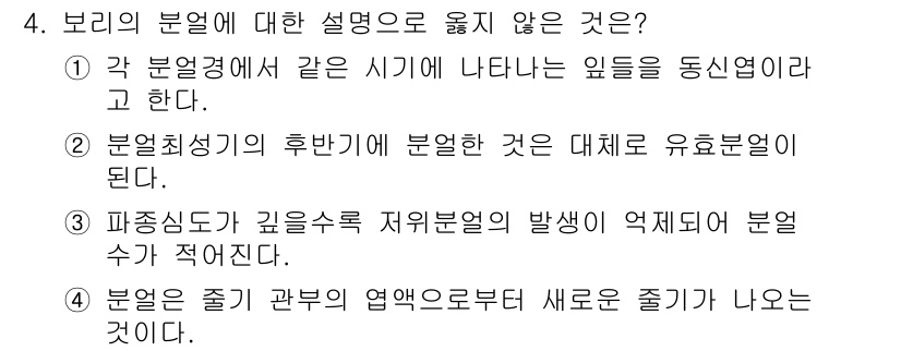 9급_국가직_공무원_식용작물 2023년 4번 - 4번은 보리의 분열에 대한 설명으로 옳지 않은 선택지입니다. 보리의 줄기... 에 관한 핵심 기출문제