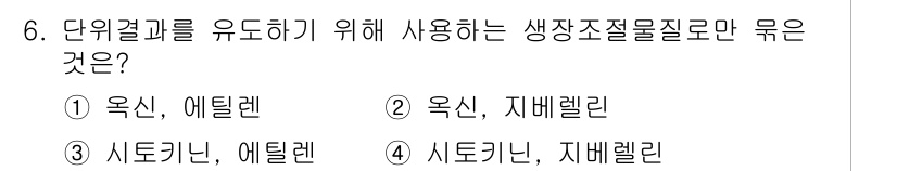 9급_국가직_공무원_재배학개론 2023년 6번 - . 옥신, 지베렐린

옥신과 지베렐린은 식물의 성장과 발달을 조절하는 생... 에 관한 핵심 기출문제