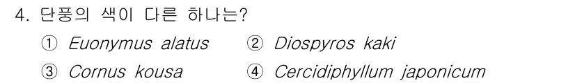9급_국가직_공무원_조경계획및설계 2023년 4번 - 정답은 4번인 Cercidiphyllum japonicum입니다. 다른 ... 에 관한 핵심 기출문제