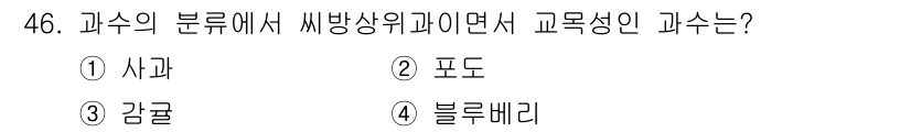 농산물품질관리사_1차 2023년 46번 - 정답은 3번 감귤입니다. ‘감귤’은 Citrus류에 속하는 과일로, 사과... 에 관한 핵심 기출문제