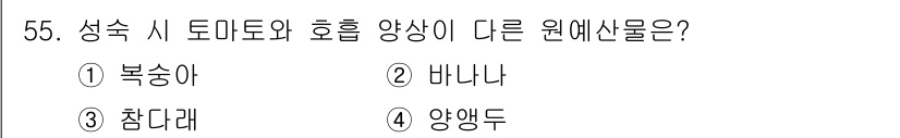 농산물품질관리사_1차 2023년 55번 - 정답은 4번 양앵두입니다. 나머지 세 가지인 복숭아, 바나나, 잠대리는 ... 에 관한 핵심 기출문제