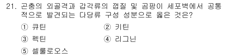 변리사_1차(3교시) 2024년 21번 - 정답인 2번 '키틴'은 곤충의 외골격 및 갑각류의 주요 성분으로, 세포벽... 에 관한 핵심 기출문제