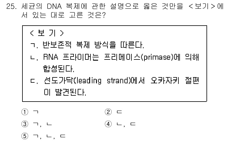 변리사_1차(3교시) 2024년 25번 - DNA 복제에서 RNA 프라이머는 프리메이스(primase)의 작용으로 ... 에 관한 핵심 기출문제
