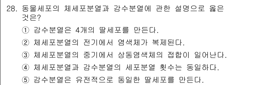변리사_1차(3교시) 2024년 28번 - 정답인 이유: 감수분열은 4개의 딸세포를 생성하는 과정으로, 각각의 세포... 에 관한 핵심 기출문제