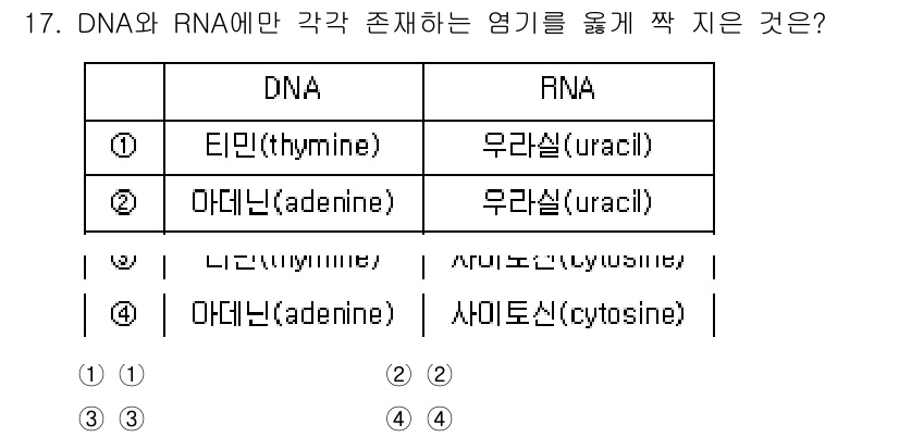9급_지방직_공무원_공업화학 2023년 17번 - . DNA는 티민(thymine)을 포함하고, RNA는 유라실(uraci... 에 관한 핵심 기출문제