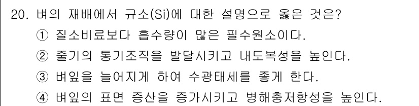 9급_지방직_공무원_식용작물 2023년 20번 - 규소(Si)는 식물의 세포벽을 강화하고 내병성 향상에 기여하며 줄기의 경... 에 관한 핵심 기출문제