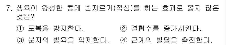 9급_지방직_공무원_식용작물 2023년 7번 - 생육에 왕성한 공해 순지르기(적심)는 주로 분지의 발육을 억제하고, 줄기... 에 관한 핵심 기출문제