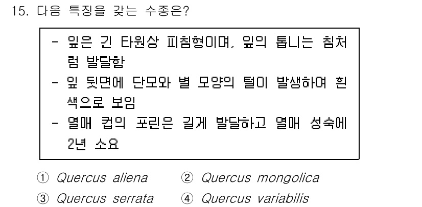 9급_지방직_공무원_조림 2023년 15번 - Quercus variabilis는 잎이 깊게 잘라진 피침형이며, 잎 뒷... 에 관한 핵심 기출문제