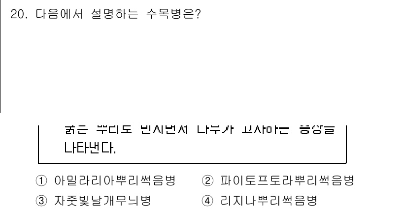 9급_지방직_공무원_조림 2023년 20번 - . 리지뿌리썩음병

리지뿌리썩음병은 뿌리에서 병원균이 번식하여 발생하는 ... 에 관한 핵심 기출문제