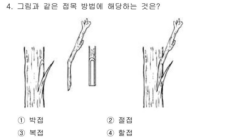 9급_지방직_공무원_조림 2023년 4번 - . 복접

해설: 복접은 두 개 이상의 식물체에서 접목할 부분을 원형으로... 에 관한 핵심 기출문제
