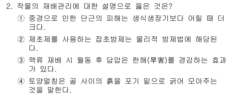 9급_국가직_공무원_재배학개론 2024년 2번 - 3번은 '막 별 재배 시 월동 후 답답한 해(배출)를 경감하는 효과가 있... 에 관한 핵심 기출문제