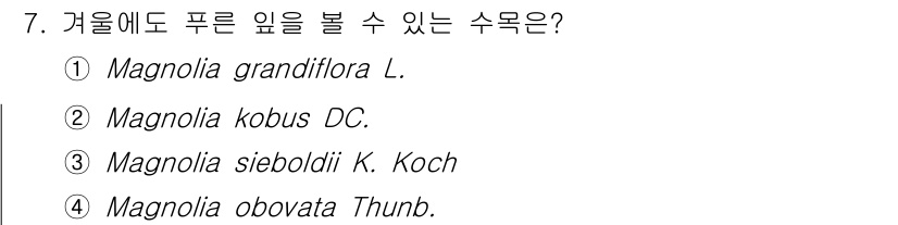 9급_국가직_공무원_조경계획및설계 2024년 7번 - 정답: ① Magnolia grandiflora L.  
이 수목은 겨울... 에 관한 핵심 기출문제