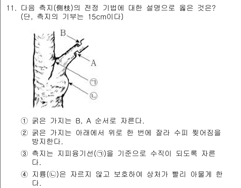 9급_국가직_공무원_조경학 2024년 11번 - 이 설명에서는 측지의 원칙을 따르지 않고 측량이 이루어질 수 없음을 강조... 에 관한 핵심 기출문제