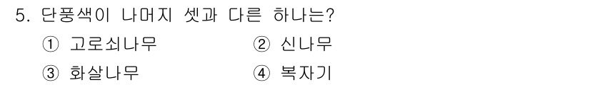 9급_국가직_공무원_조경학 2024년 5번 - . 고로쇠나무  
고로쇠나무는 단풍나무과에 속하지 않으며, 단풍나무와는 ... 에 관한 핵심 기출문제