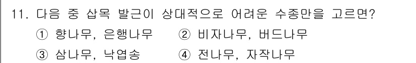 9급_국가직_공무원_조림 2024년 11번 - 전나무와 자작나무는 생장 속도가 느리고, 환경 적응력이 떨어져 조림에서 ... 에 관한 핵심 기출문제