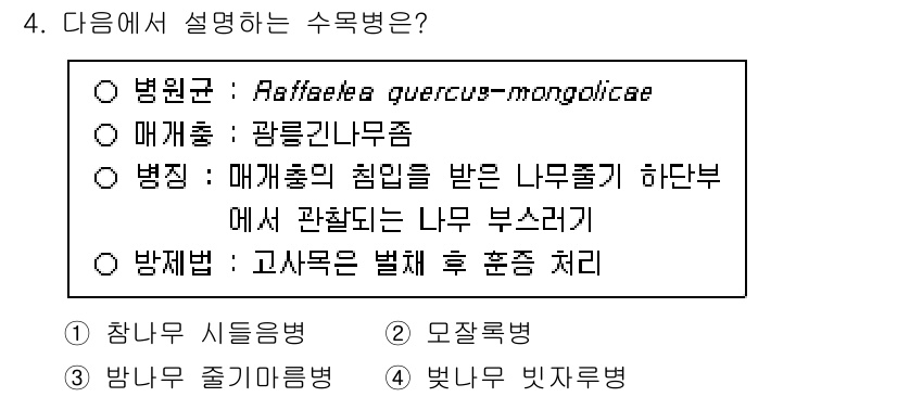 9급_국가직_공무원_조림 2024년 4번 - 수목병의 원인이 되는 병원균인 Raffaelea quercus-mongo... 에 관한 핵심 기출문제