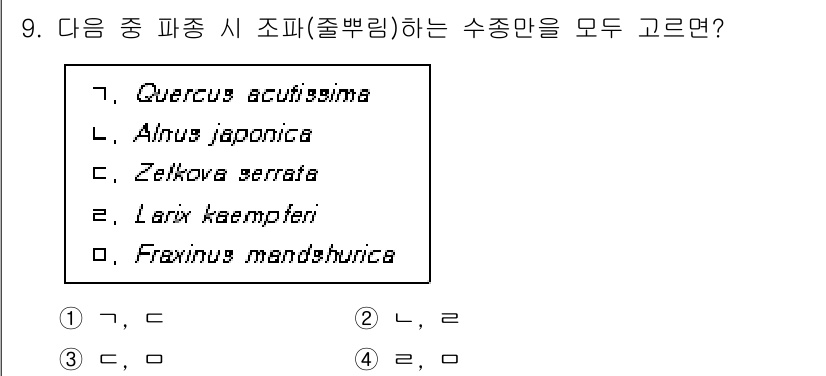 9급_국가직_공무원_조림 2024년 9번 - . Zelkova serrata와 Fraxinus mandshurica는... 에 관한 핵심 기출문제
