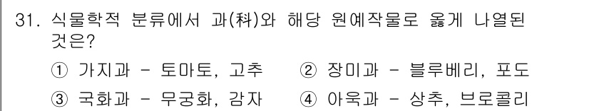 농산물품질관리사_1차 2024년 31번 - 가지과는 토마토와 고추를 포함하며, 이들은 모두 같은 과에 속합니다. 반... 에 관한 핵심 기출문제