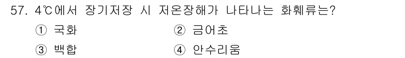 농산물품질관리사_1차 2024년 57번 - 정답은 4. 안수리움입니다. 4℃에서 장기 저장 시, 식물의 자연적인 호... 에 관한 핵심 기출문제