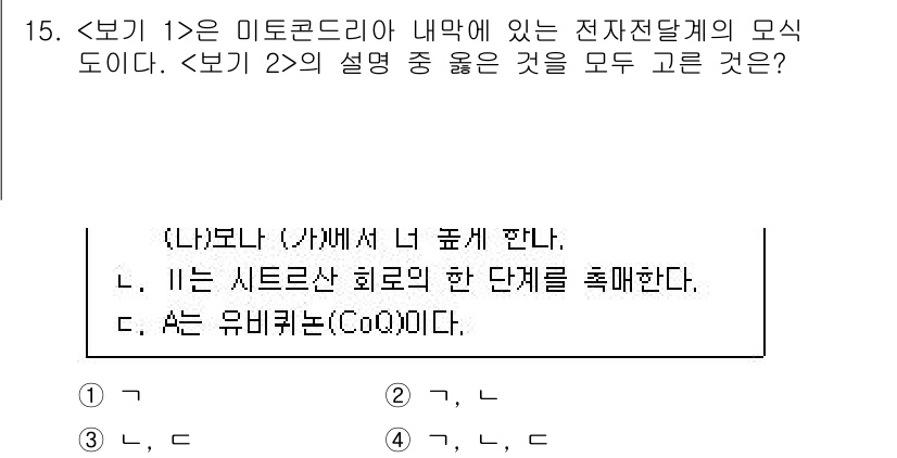 9급_지방직_공무원_서울시_생물 2023년 15번 - 주어진 문제에서 미토콘드리아의 전자전달계는 전자전달을 통해 ATP를 생성... 에 관한 핵심 기출문제