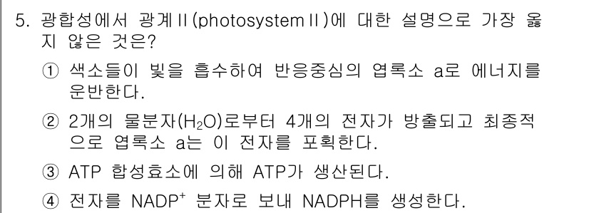 9급_지방직_공무원_서울시_생물 2023년 5번 - 광합성에서 광계 II(Photosystem II)는 주로 빛을 흡수하여 ... 에 관한 핵심 기출문제
