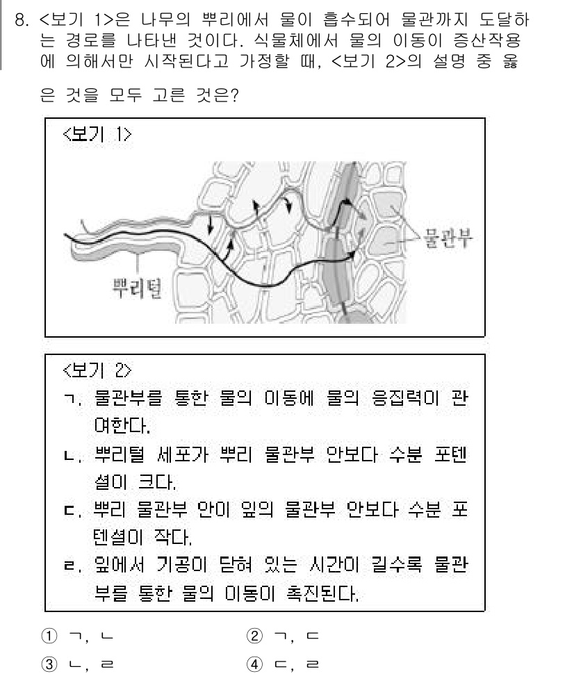 9급_지방직_공무원_서울시_생물 2023년 8번 - 엽록체 내의 물질 이동은 세포의 수분 포텐샤에 따라 다르며, 물질이 이동... 에 관한 핵심 기출문제