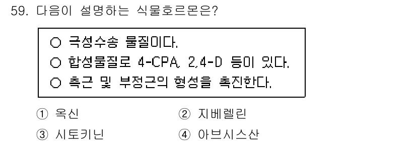 손해평가사 2024년 59번 - . 극성수송 물질입니다.  
해설: 극성수송 물질은 식물에서 물질의 이동... 에 관한 핵심 기출문제
