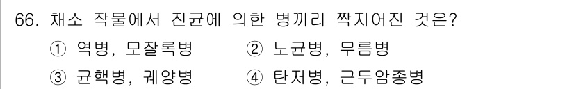 손해평가사 2024년 66번 - . 

정답인 이유는 역병과 모자르병이 모두 전염성이 강하고, 특정 조건... 에 관한 핵심 기출문제