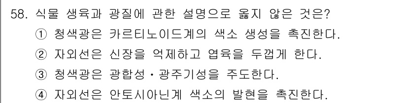 손해평가사 2025년 58번 - 청색광은 광합성에 중요한 역할을 하지만, 광합성 자체를 주도하는 것은 아... 에 관한 핵심 기출문제