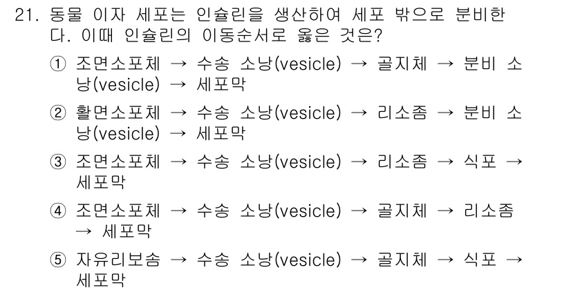 변리사_1차(3교시) 2025년 21번 - 정답은 1번 입니다. 1차 식물의 내에서 물질 이동 시 수송 소낭(ves... 에 관한 핵심 기출문제