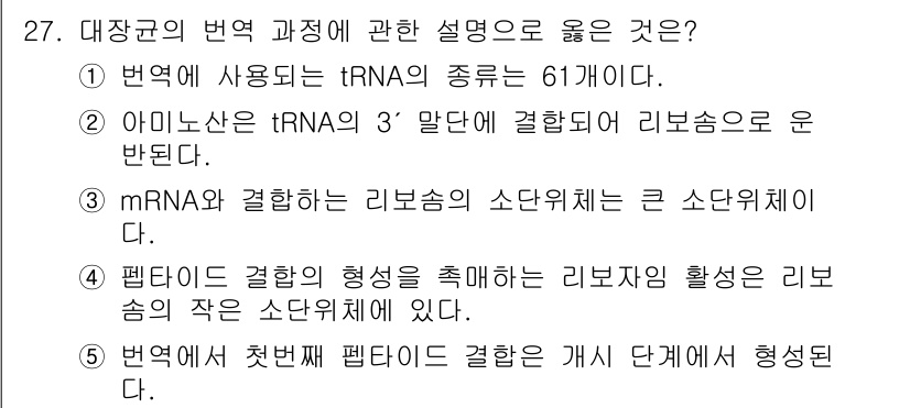 변리사_1차(3교시) 2025년 27번 - . 

리보솜의 소단위체는 mRNA와 결합하여 번역 과정의 개시를 조정하... 에 관한 핵심 기출문제
