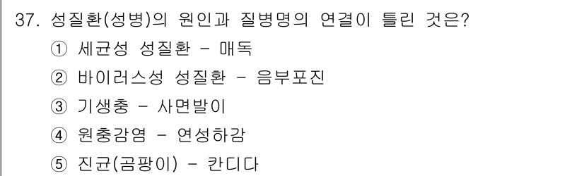 청소년상담사_1급(2교시)(구) 2025년 37번 - . 원충감염 - 연생학령은 성질환의 원인으로 알려져 있습니다. 원충감염은... 에 관한 핵심 기출문제