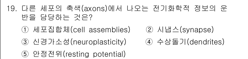 청소년상담사_3급(2교시)(구) 2025년 19번 - 정답은 4번, 수상돌기(dendrites)입니다. 수상돌기는 신경세포가 ... 에 관한 핵심 기출문제