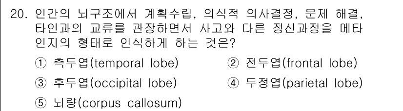 청소년상담사_3급(2교시)(구) 2025년 20번 - 정답은 2번 전두엽입니다. 전두엽은 계획 수립, 의사 결정 및 문제 해결... 에 관한 핵심 기출문제