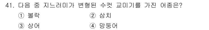 어업생산관리기사 2015년 41번 - . 상어  
상어는 지느러미의 구조와 기능이 변화해 수컷과 암컷의 교미기... 에 관한 핵심 기출문제