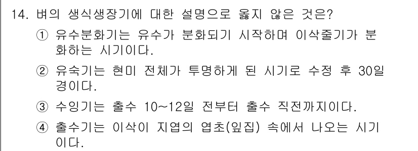 9급_국가직_공무원_식용작물 2025년 14번 - 유숙기는 유수가 분화하기 시작한 시기로, 이후에 유숙기와 관련된 정확한 ... 에 관한 핵심 기출문제