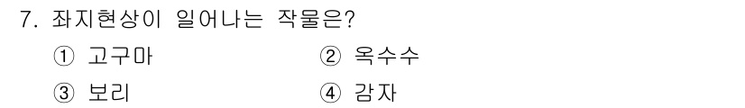 9급_국가직_공무원_식용작물 2025년 7번 - 정답은 3번 보리입니다. 보리는 전분과 단백질 함량이 높아 생육 과정에서... 에 관한 핵심 기출문제