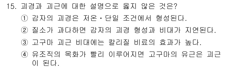 9급_지방직_공무원_식용작물 2024년 15번 - 정답 4번은 유조직의 목화가 빨리 이르면 고구마의 유근이 된다는 설명으로... 에 관한 핵심 기출문제