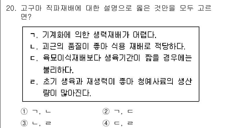 9급_지방직_공무원_식용작물 2024년 20번 - 정답 4번의 설명은 "초기 생육과 재생력이 좋아 청예재배의 생산량이 많다... 에 관한 핵심 기출문제