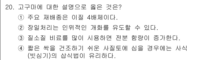 9급_지방직_공무원_식용작물 2025년 20번 - 고구마에 대한 설명 중 '주요 재배종은 이질 4배체이다.'가 올바른 설명... 에 관한 핵심 기출문제