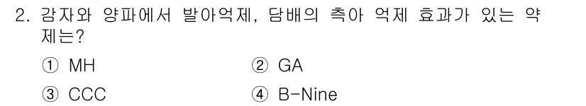 9급_지방직_공무원_재배학개론 2024년 2번 - . MH는 강자와 양파에서 발아 억제 효과가 있는 물질로 알려져 있습니다... 에 관한 핵심 기출문제