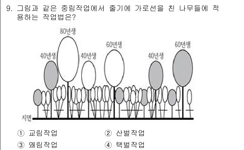 9급_지방직_공무원_조림 2024년 9번 - 정답은 3번 '택벌작업'입니다. 그림에서 나무들의 성장 단계에 따라 일정... 에 관한 핵심 기출문제
