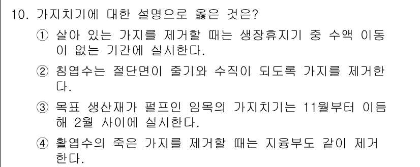 9급_지방직_공무원_조림 2025년 10번 - 가치치기에 대한 설명 중 옳은 것은 **①**입니다. 가치치를 제거할 때... 에 관한 핵심 기출문제