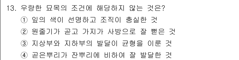 9급_지방직_공무원_조림 2025년 13번 - 4번은 ‘골은 뿌리가 잔뿌리에 비하여 잘 발달함’이란 조건이 우량한 묘목... 에 관한 핵심 기출문제